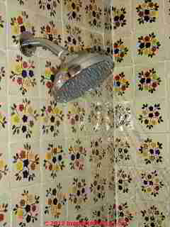 Shower performance with tankless water heater (C) Daniel Friedman