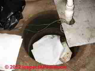 Sump pit debris (C) D Friedman