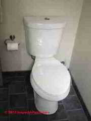 Top flush Glacier Bay water saving toilet (C) D Friedman