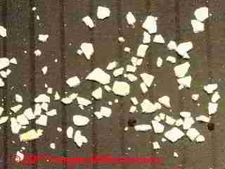 Water debris particles enlarged (C) Daniel Friedman