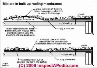 Roof blisters explained (C) Carson Dunlop