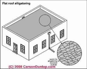 Flat roof alligatoring (C) Carson Dunlop Associates