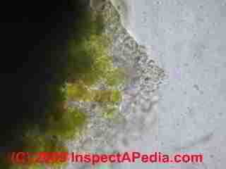Algae stains on a roof (C) Daniel Friedman