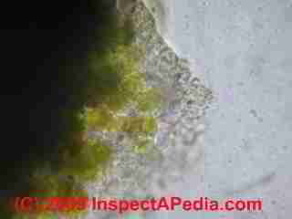 Algae stains on a roof (C) Daniel Friedman