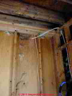 Roof leak stains from below (C) D Friedman