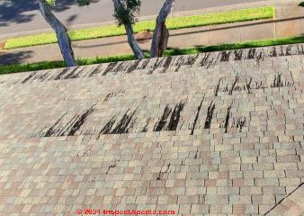 Sever tarry run-out from asphalt shingle roof 13 years old (C) InspectApedia.com Tells