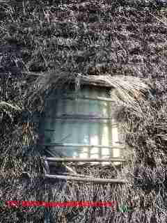 Closeup of el Charco's thatch roof (C) Daniel Friedman