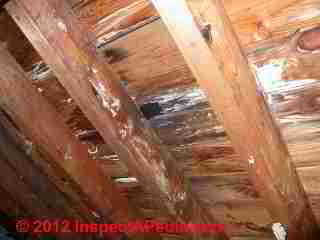 Roof rot © D Friedman at InspectApedia.com 