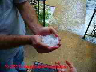 Shingle granules in gutter (C) D Friedman L B