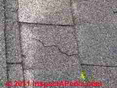 Thermal cracking laminated asphalt shingle (C) D Friedman S Mauer