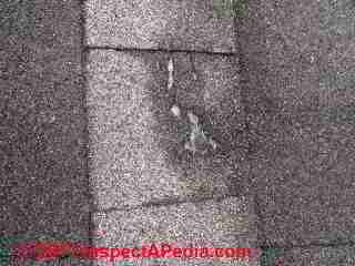 Splice shingle damage on a laminate shingle roof (C) D Friedman S Mauer
