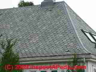 Stone roof in Molde Norway (C) Daniel Friedman
