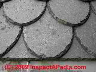 Stone roof (C) Daniel Friedman