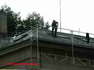 Roof paint work in Norway (C) Daniel Friedman