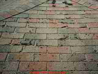 Typical wear due to age on an organic base asphalt shingle roof.