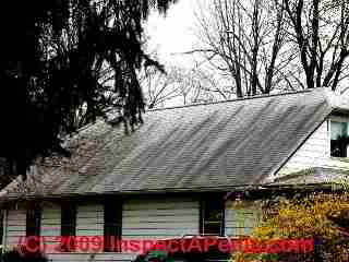 Black shingle stains (C) Daniel Friedman