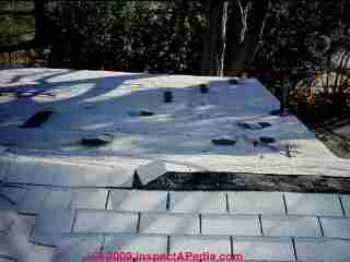 Wind damaged roof shingles (C) Daniel Friedman