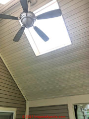 porch ceiling with skylight installed (C) InspectApedia.com Jane
