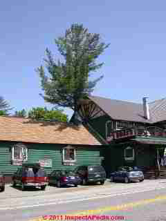 Tree through roof chimneyTupper Lake NY (C) D Friedman