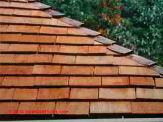Improperly set wood shingle roof (C) Daniel Friedman