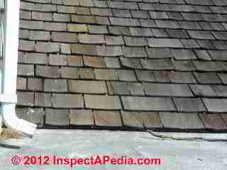 Curled wood shingle roof - early failure (C) D Friedman