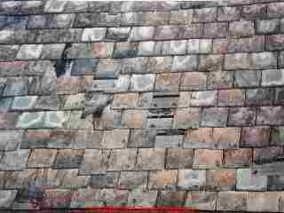 Worn out leaky slate roof (C) Daniel Friedman