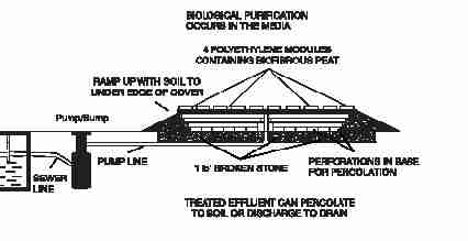 LARGER SKETCH of a typical septic effluent gravity dosing system -
