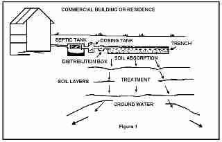 LARGER SKETCH of a typical septic effluent gravity dosing system -