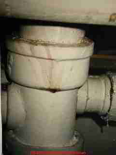 Leaky main drain line and septic dye (C) Daniel Friedman