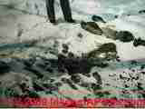 LARGER VIEW of
effluent breakout without septic dye in a snow-covered area in a yard - evidence of a failed septic leach field