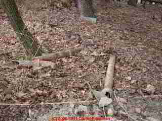 LARGER VIEW of
evidence of recent work on the septic system - abandoned pipes on the ground.