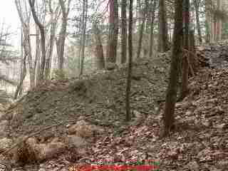 LARGER VIEW of
evidence of recent work on the septic system - new dirt pile pushed into woods.