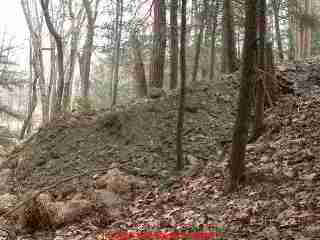 LARGER VIEW of
evidence of recent work on the septic system - new dirt pile pushed into woods.