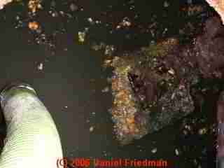 PHOTO of septic pillow of scum from the septic tank baffle area