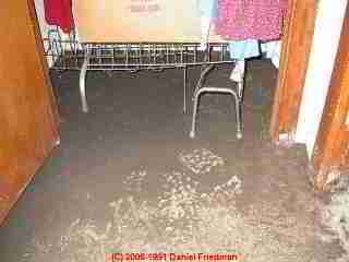 PHOTO of sewage contamination sludge on the floor in a basement from a sewer line backup