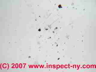 Small fiberglass fragment in air