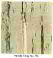 Vinyl asbestos floor tile identification photo U.S. Library of Congress
