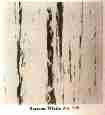 Vinyl asbestos floor tile identification photo U.S. Library of Congress