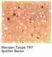 Vinyl asbestos floor tile identification photo U.S. Library of Congress
