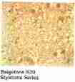 Vinyl asbestos floor tile identification photo U.S. Library of Congress