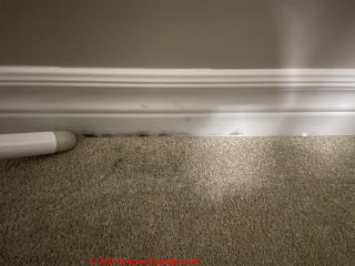 black stains on floor baseboard trim might be mold - trivial but look further (C) InspectApedia.com Adelaide
