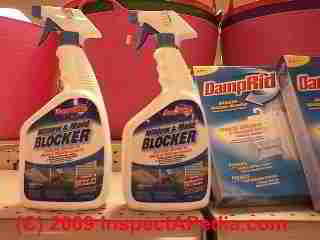 Bathroom mold cleaner (C) Daniel Friedman
