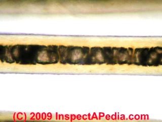 Dog allergens photo (C) Daniel Friedman