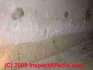 White fluffy effloresence on a concrete foundation (C) Daniel Friedman