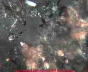 Polarized light photograph of effloresence on a basement foundation wall  &copy; 2009 D Friedman