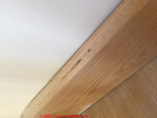 insect damaged wood possible source of white dusty debris on floor (C) InspectApdia.com Andrew