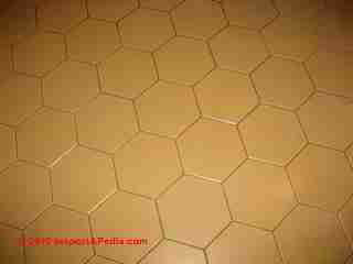 Hexagonal vinyl asbetos tile, maybe (C) Daniel Friedman