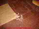 Matico plastic reinforced vinyl (C) InspectAPedia