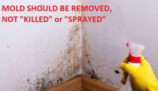 Mold spray advertisement: mold should be cleaned or removed, not just "killed in place" - (C) InspectApedia.com