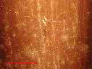 Flashlight dust (C) D Friedman